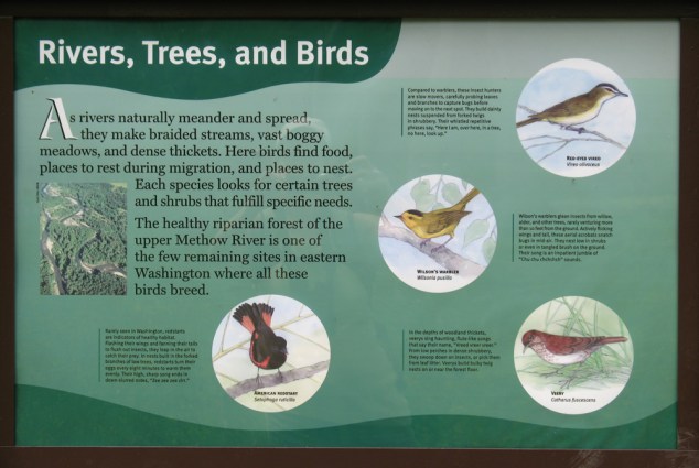 Big_Valley_trail-01-med