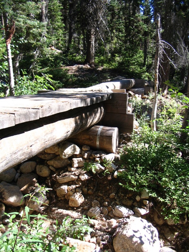 Log_bridge_7-06_01-med