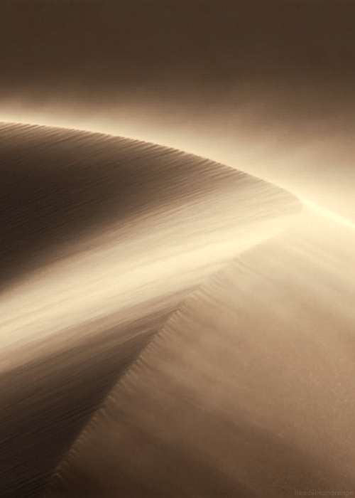 headlikeanorange-dune