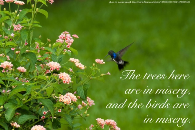 tumblr_ngeaddCequ1u5q7tfo1_1280