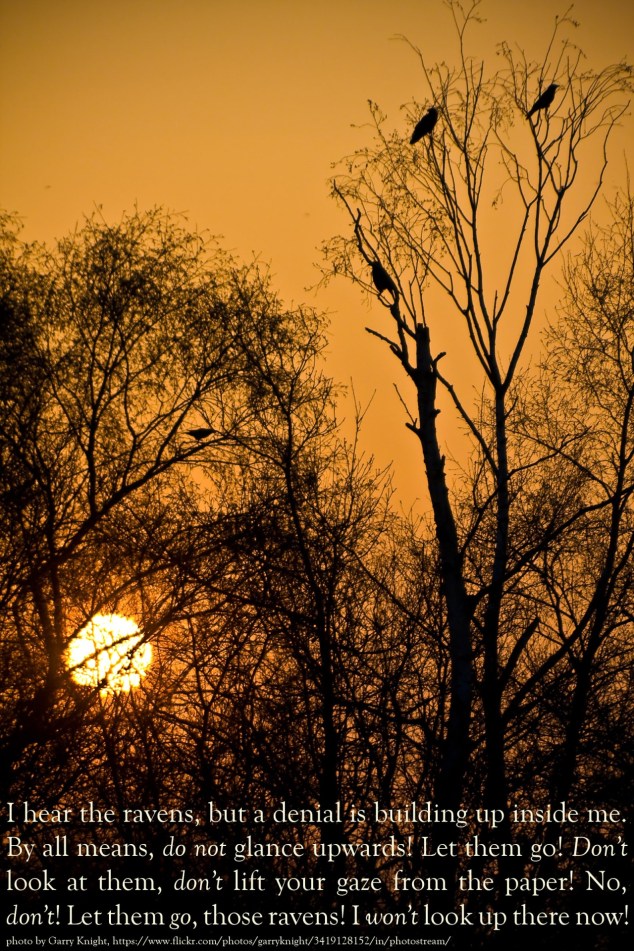 tumblr_ngt6keDazo1u5q7tfo1_1280