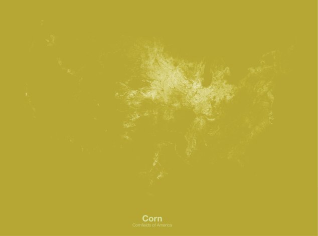 Cornfields of the US // Minimal Maps project by Michael Pecirno