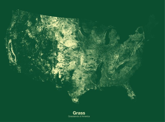 Grasslands of the US // Minimal Maps project by Michael Pecirno