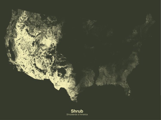 Shrublands of the US // Minimal Maps project by Michael Pecirno